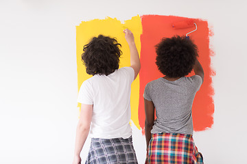 Image showing multiethnic couple painting interior wall