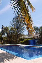 Image showing Swimming pool