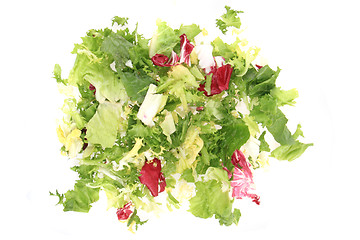 Image showing fresh color lettuce 