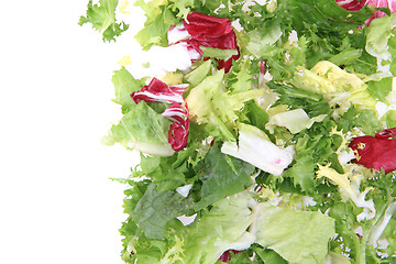 Image showing fresh color lettuce 