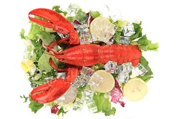 Image showing orange lobster isolated