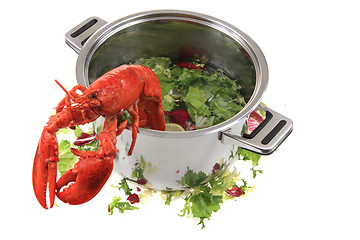 Image showing orange lobster isolated