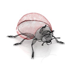 Image showing Ladybird on a white background. 3D illustration.