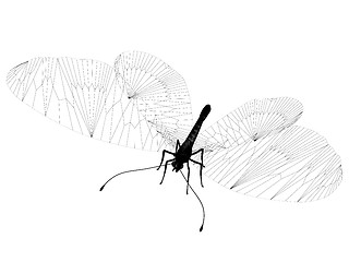 Image showing line butterfly. 3d illustration