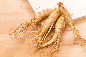 Image showing Fresh Ginseng  