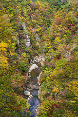 Image showing Naruko canyon with autumn foliage in Japan