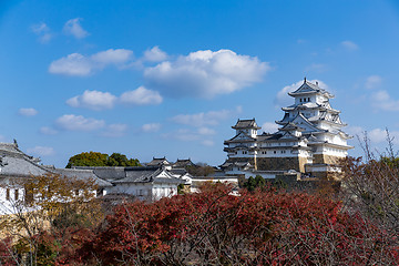 Image showing Japanese Himeji castle with maple tree