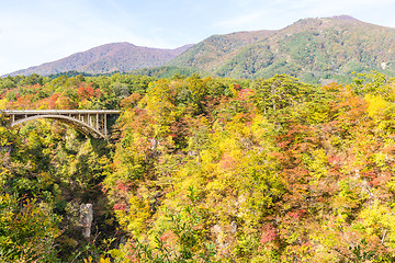 Image showing Naruko canyon with autumn foliage in Japan