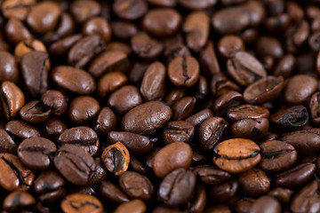 Image showing Roasted Coffee bean texture