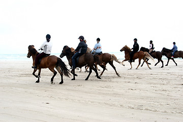 Image showing riding horses