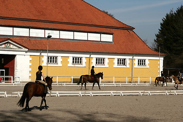 Image showing riding horses