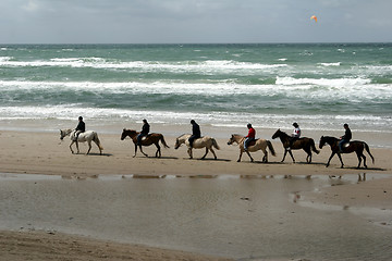 Image showing riding horses