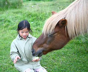 Image showing riding horses