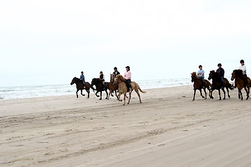 Image showing riding horses