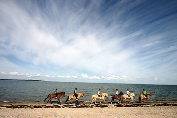 Image showing riding horses