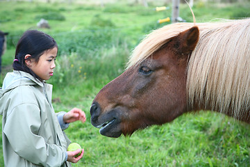 Image showing riding horses