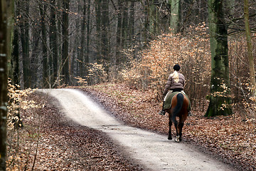 Image showing riding horses