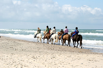 Image showing riding horses