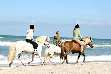 Image showing riding horses