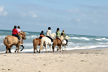 Image showing riding horses