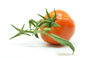 Image showing Fresh tomato with water drops