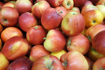 Image showing Red apples on sale