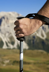 Image showing Close-up of a hand with walking pole