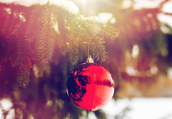 Image showing red christmas ball on fir tree branch with snow