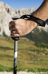 Image showing Close-up of a hand with walking pole