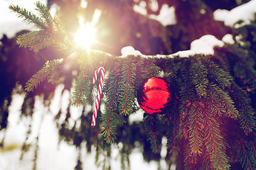 Image showing candy cane and christmas ball on fir tree branch