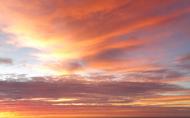 Image showing Red skies above
