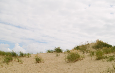 Image showing Sandy Dunes