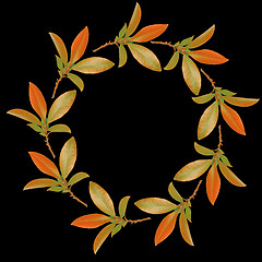 Image showing Autumn Garland