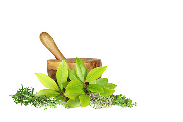 Image showing Fresh Herbs