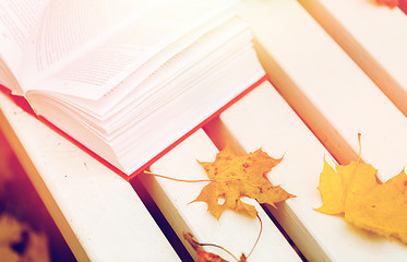 Image showing open book and autumn leaves on park bench