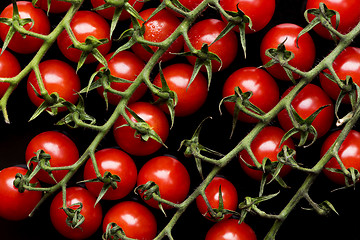 Image showing Small red tomatoes