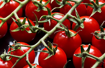 Image showing Small red tomatoes