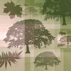 Image showing Abstract Trees and Leaves