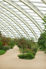 Image showing Conservatory Interior