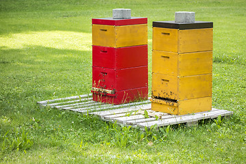 Image showing two bee hives in the green grass