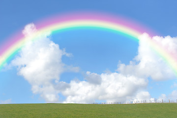 Image showing Rainbow Beauty