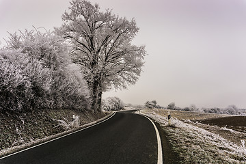 Image showing Frosty Winter Landscape