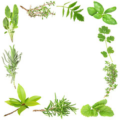 Image showing Organic Herbs