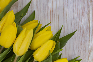 Image showing Beautiful yellow tullips 