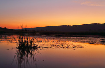 Image showing Penrith Wetlands