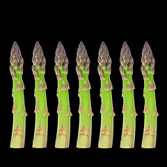 Image showing Fresh Asparagus