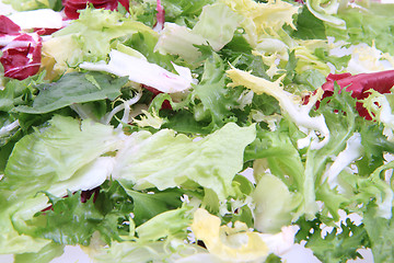 Image showing fresh color lettuce 