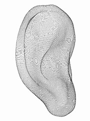 Image showing Ear digital model. 3d illustration