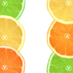 Image showing Citrus Fruit