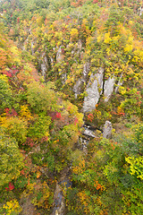 Image showing Naruko canyon in Japan